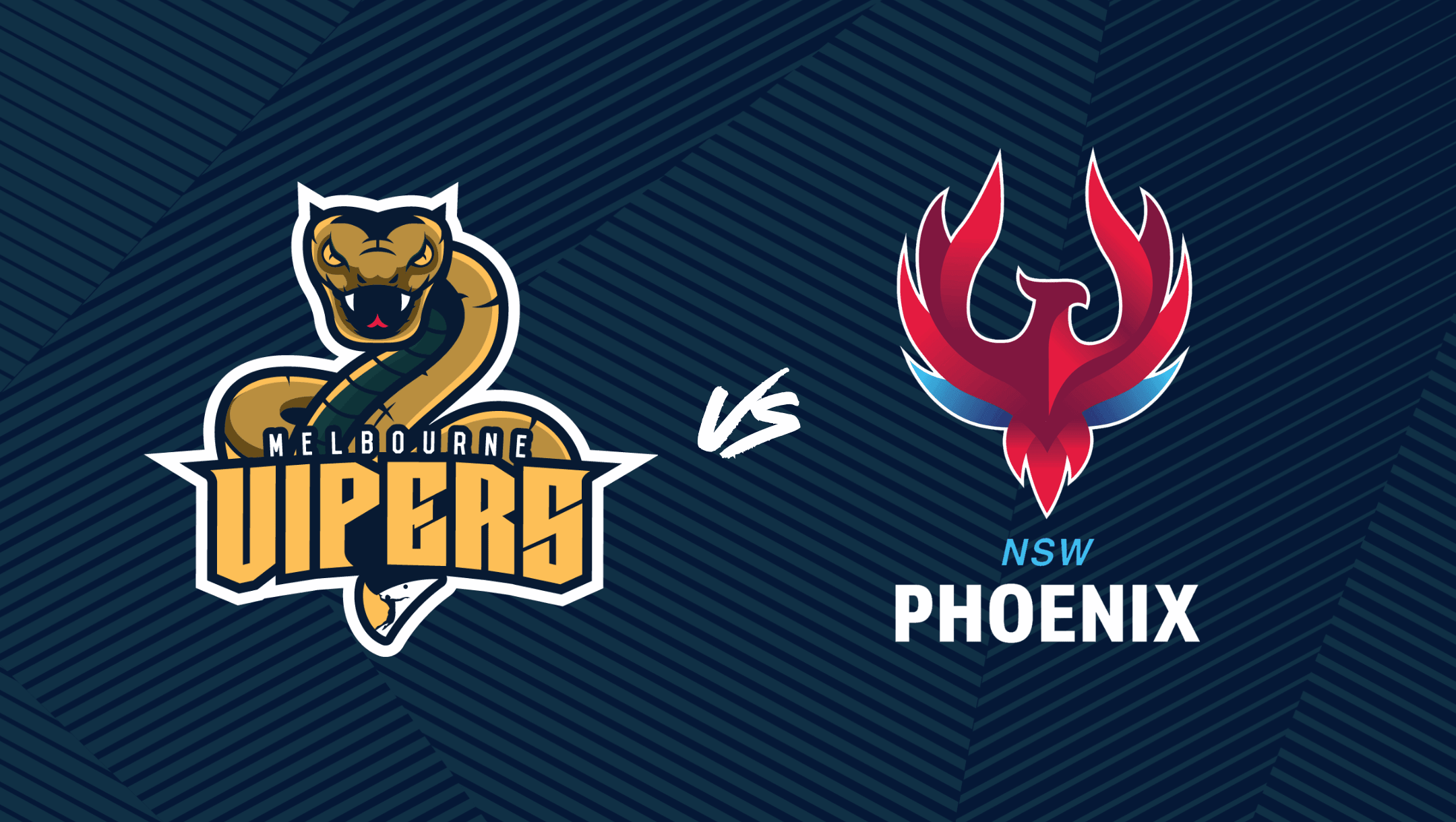 Mahindra AVSL Round 4 Melbourne Vipers v NSW Phoenix Mahindra AVSL Round 4 Melbourne Vipers v NSW Phoenix