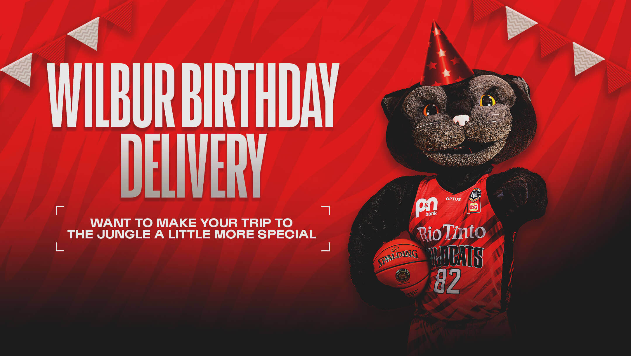 Perth Wildcats Birthday Package