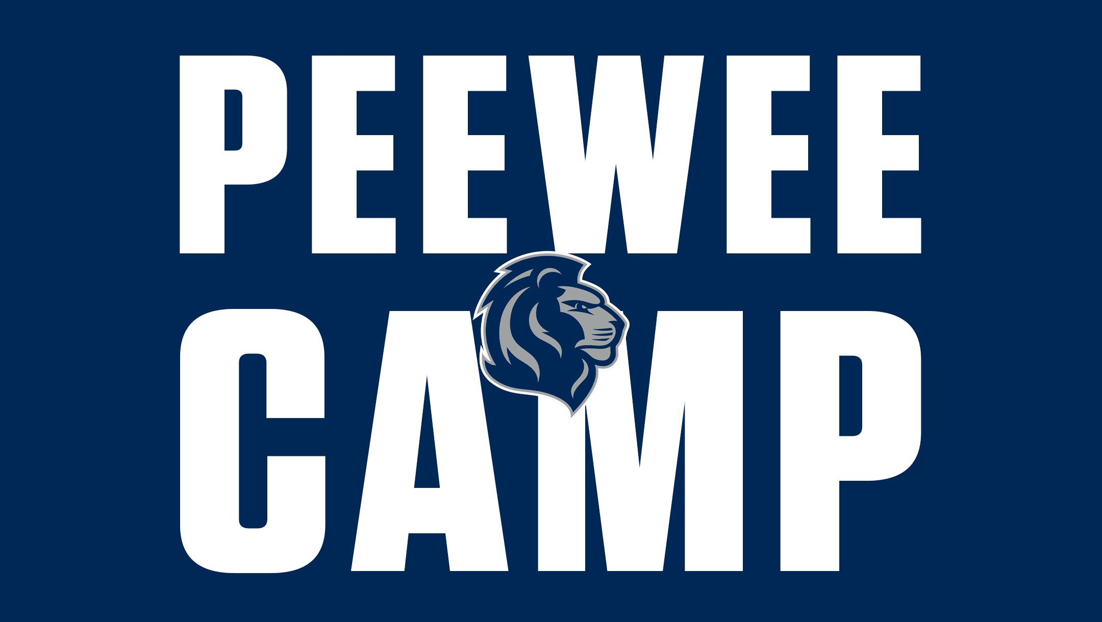 PeeWee Volleyball Camp