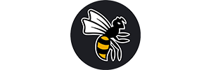 WASPs Rugby WASPs Rugby